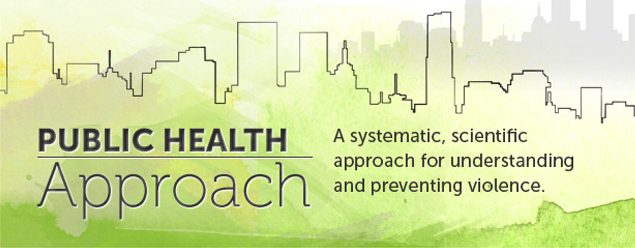 The Public Health Approach The Public Health Approach