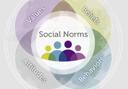 Social Norms Thumbail