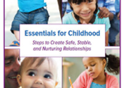 Essentials for Childhood Framework